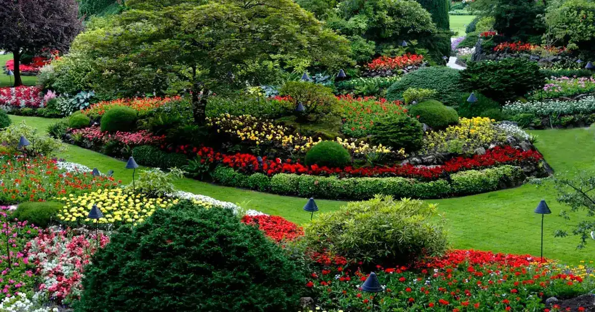 Red and white flower garden