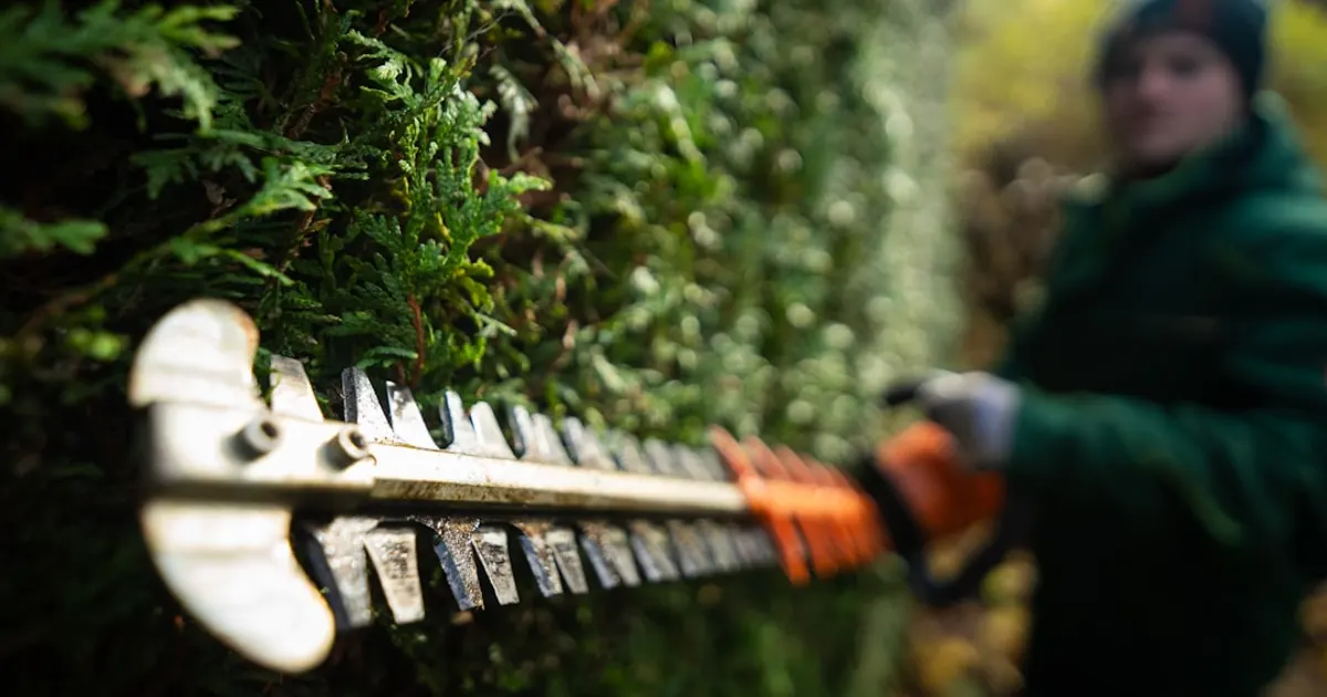 A person in a green jacket is holding a chainsaw