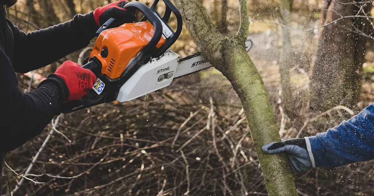 A man cutting a tree with a chainsaw